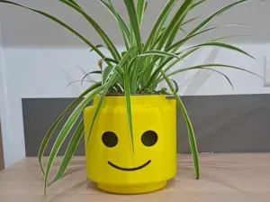 Pot de fleur tête brique avec niveau d'eau