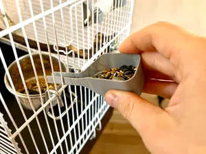 Bird Cage – Feeding Scoop