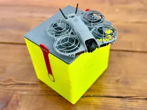 DJI Neo 2 Transport Box (Goggles + RC-N3)