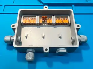 Abzweigdose mit Wago 221 Klemmen