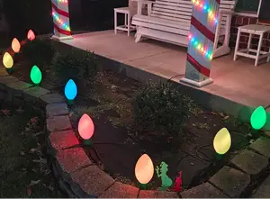 pathway.light.christmas