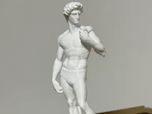 Statua David con mutande