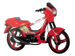 dervi variant sport