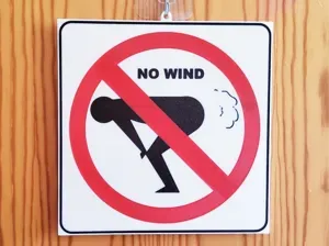 Verbotsschild No Wind
