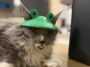 Frog Hat For Cat & Dog