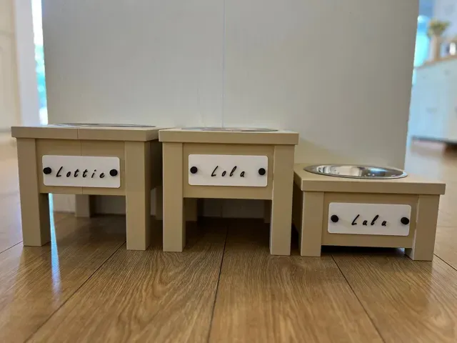 Raised Dog Bowl Station-Custom Nameplate — Фото 6 из 9
