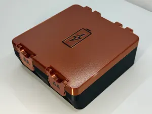 Battery Box - DOUBLE - AA/AAA/9V