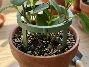Modular Plant Support Ring – Stackable Holder