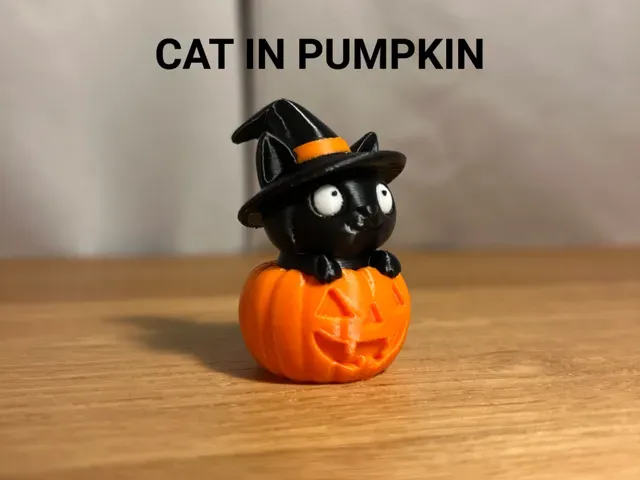 Cat in Pumpkin