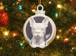 Amazing Boston Terrier in Christmas Bauble