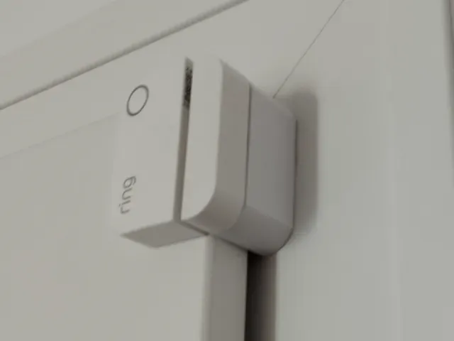 support porte Capteur Ring Alarm 2e génération