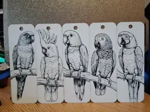 Parrots world - Bookmarks