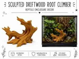 Sculpted Driftwood Root Climber – Natural Accent