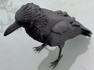 Raven model - bird