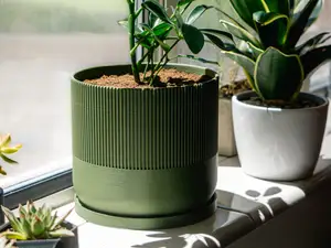 Mid-Century Modern Planter Pot, with Drainage Tray