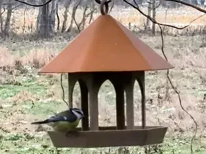 Vogelfutterhäuschen