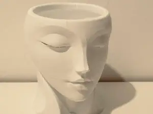 Mini Woman Face Planter