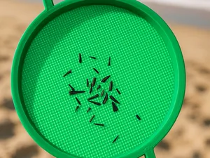 Easily customizable Sieve for Fossils and teeth!