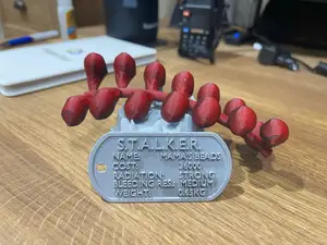 S.T.A.L.K.E.R. 2 artifact - Mama's Beads