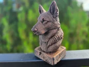 Old German Shepherd Bust