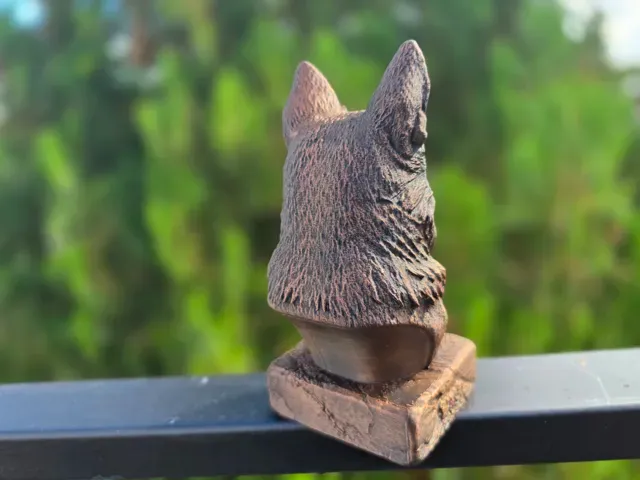 Old German Shepherd Bust — Фото 7 из 8