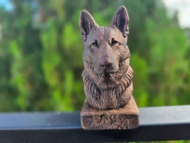 Old German Shepherd Bust — Фото 3 из 8