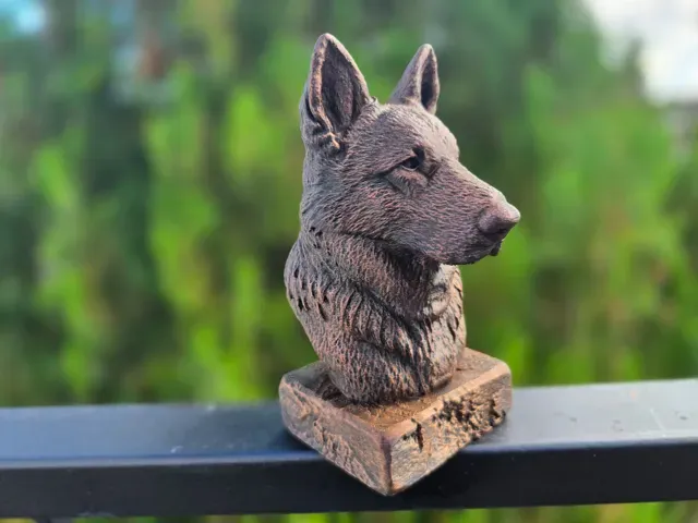 Old German Shepherd Bust — Фото 4 из 8