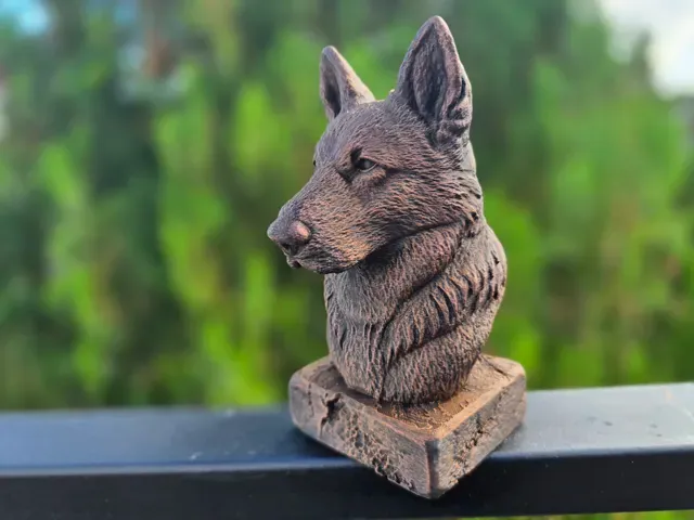 Old German Shepherd Bust — Фото 2 из 8