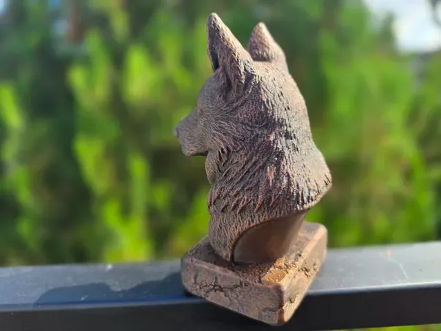 Old German Shepherd Bust — Фото 5 из 8