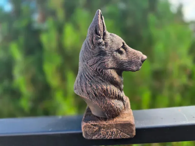 Old German Shepherd Bust — Фото 6 из 8