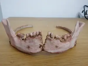 Voodoo Warrior Mandible Crown