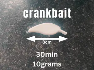 crankbait fishing lure (print in place)