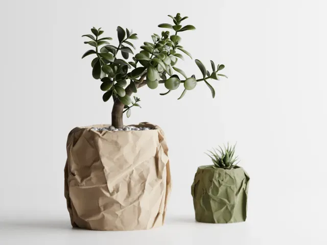 Crumbled Paper Plant Pot — Фото 2 из 10