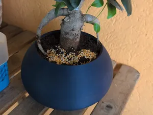 Vaso per bonsai altezza 10 cm