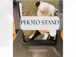 Minimalist Photo Stand Desktop Holder 3D Print
