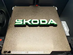 Skoda Schriftzug