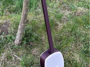 Shamisen