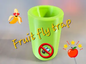 Fruit fly trap