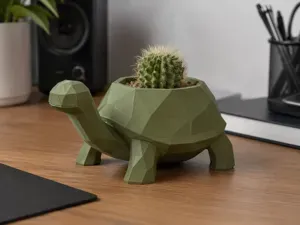 maceta tortuga
