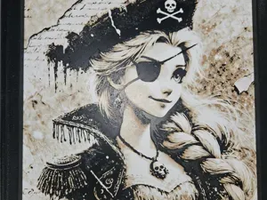 REINE DES NEIGES PIRATES