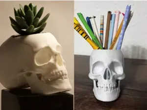 Skull Planter/Pen Holder