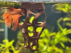 3 in 1 Voronoi Aquarium Feeder