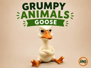 Grumpy Goose