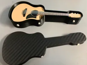 Guitar case for Tim Bricker guitar box