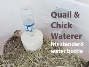 Adult Quail and Chick Water Feeder for bottle