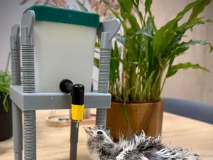 Adjustable Chick Nipple Drinker Water Tower