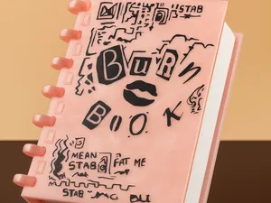 Burn book mean girls box for makeup storage
