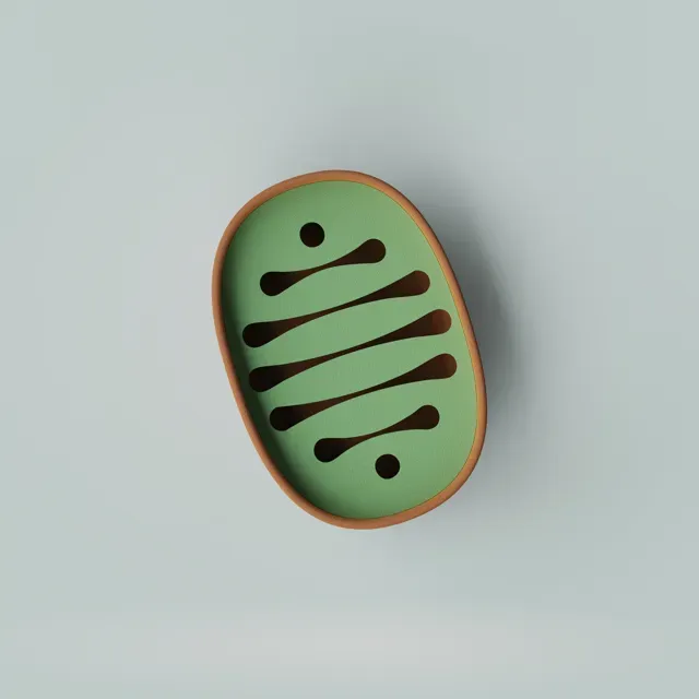 Soap Dish / Sponge Holder Collection #2 — Image 8 of 17
