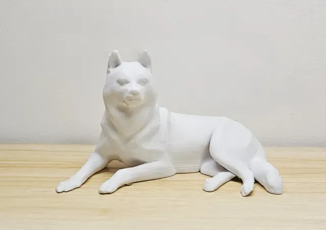 Husky au repos — Image 2 of 3