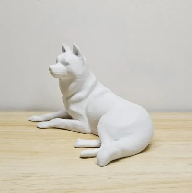 Husky au repos — Image 3 of 3